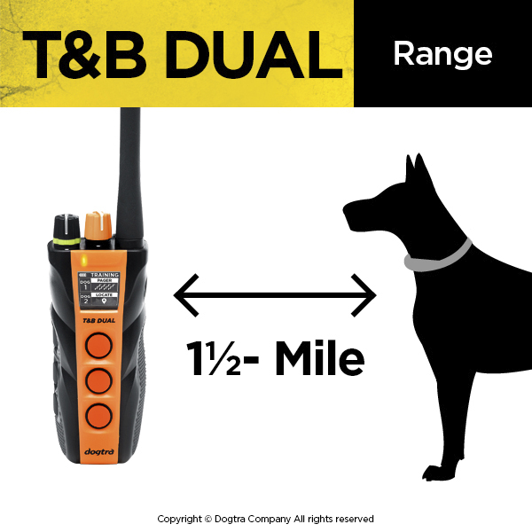 Dogtra 2024 t&b dual